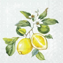 Коктейлни салфетки 20бр Lemon Wreath зелени